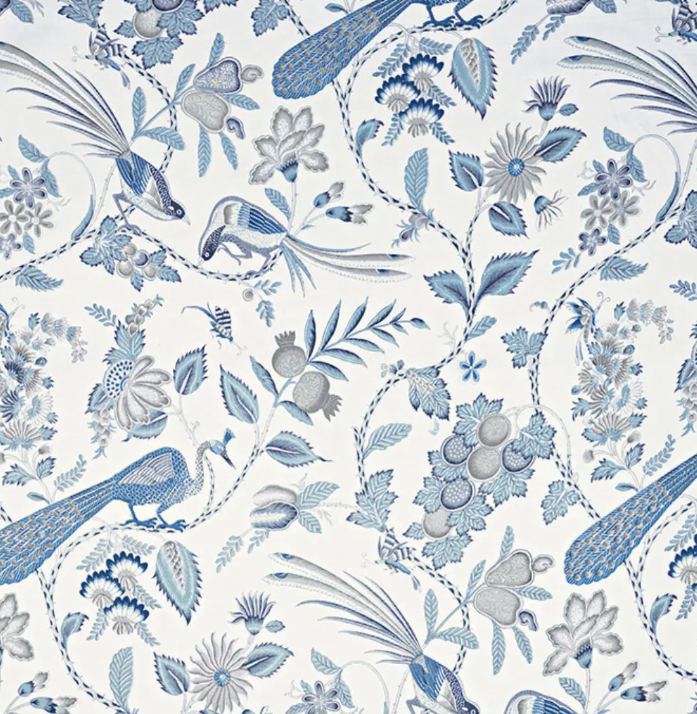 Schumacher- Campagne