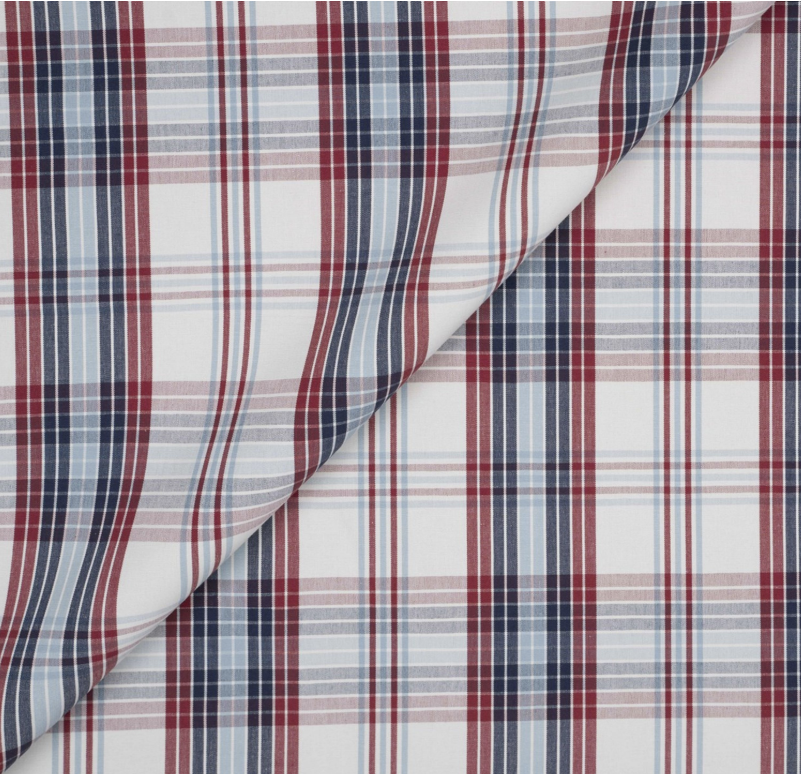 Jim Thompson- Bangaru Check in Primary