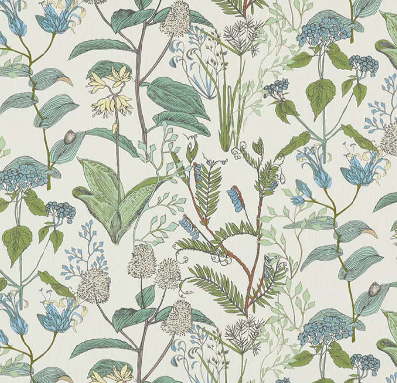 Lacefield Designs- Botanical Sketch (Small Scale) Costa