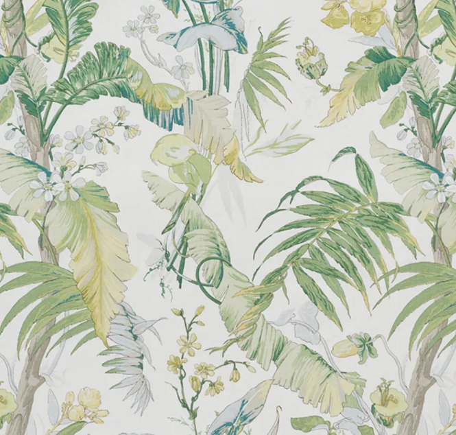 Schumacher- Tropique