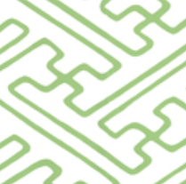 Quadrille- Saya Gata Lines